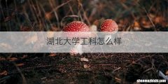 湖北大学工科怎么样