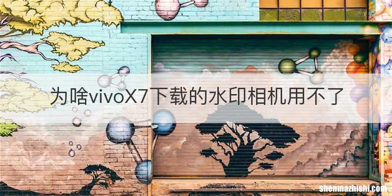 为啥vivoX7下载的水印相机用不了