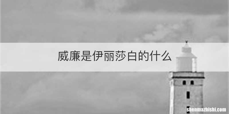 威廉是伊丽莎白的什么