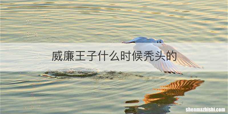 威廉王子什么时候秃头的