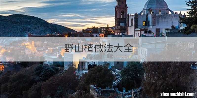 野山楂做法大全