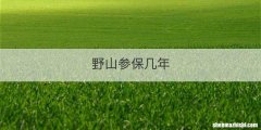 野山参保几年