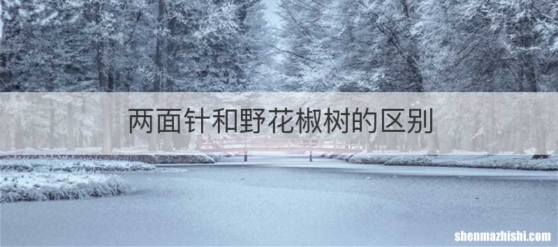 两面针和野花椒树的区别