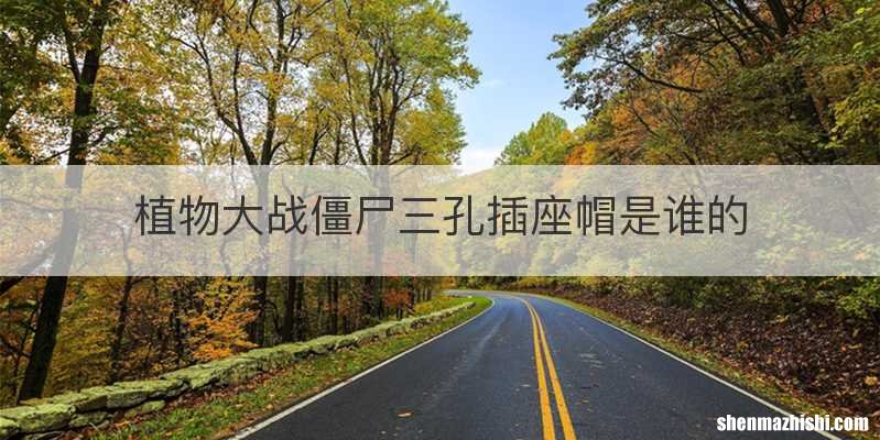 植物大战僵尸三孔插座帽是谁的