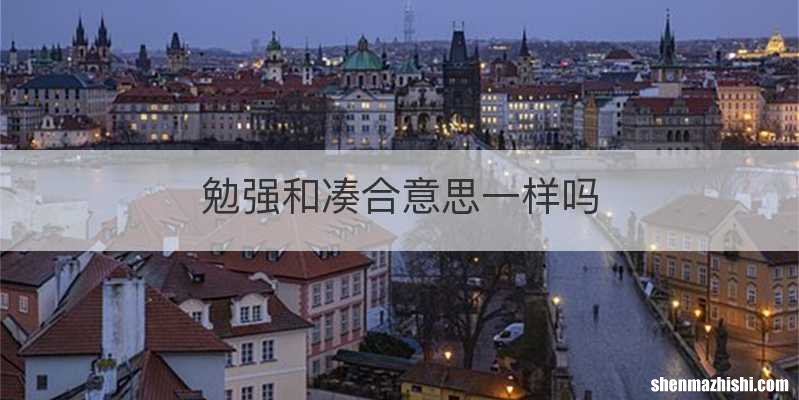 勉强和凑合意思一样吗