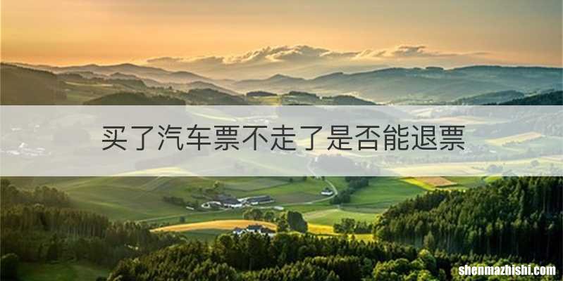 买了汽车票不走了是否能退票