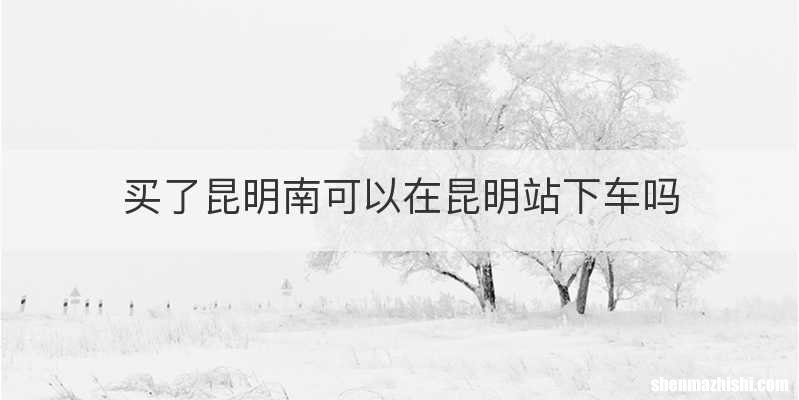 买了昆明南可以在昆明站下车吗