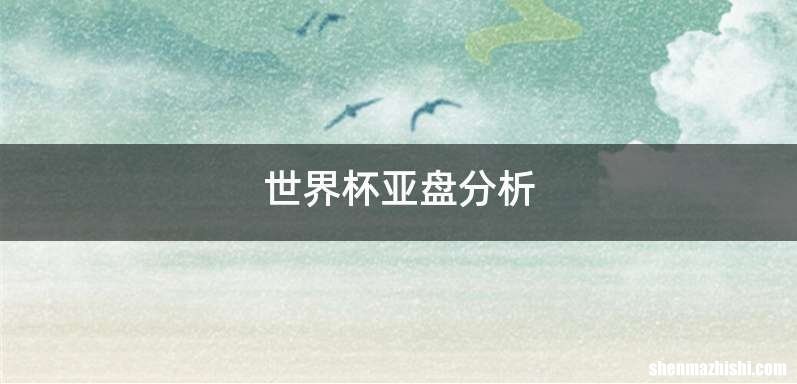 世界杯亚盘分析