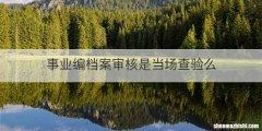 事业编档案审核是当场查验么