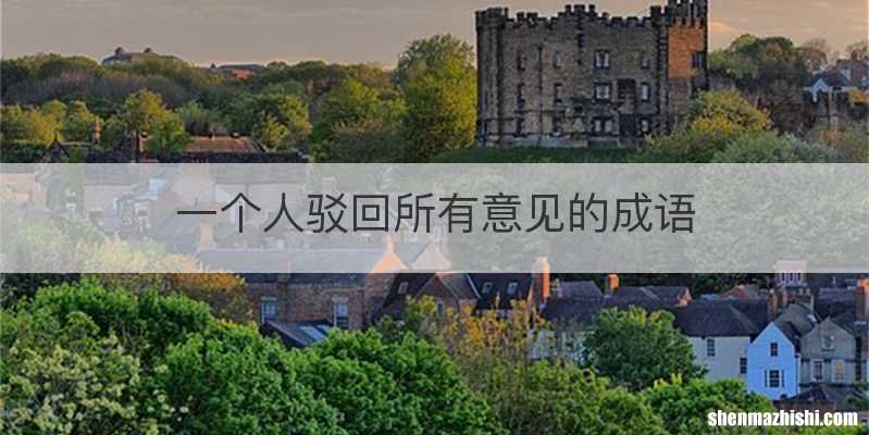 一个人驳回所有意见的成语