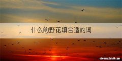 什么的野花填合适的词