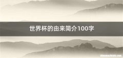 世界杯的由来简介100字