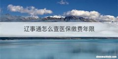 辽事通怎么查医保缴费年限