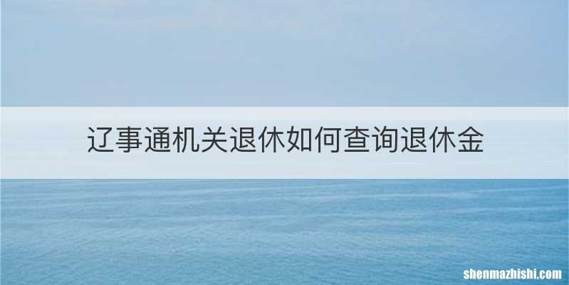辽事通机关退休如何查询退休金