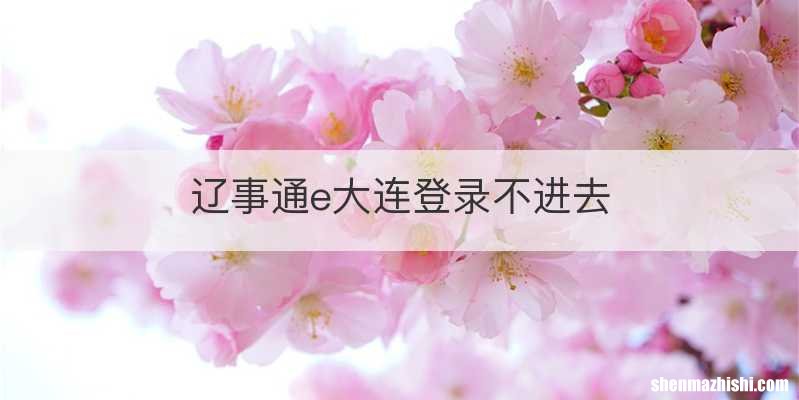 辽事通e大连登录不进去