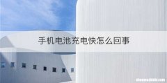 手机电池充电快怎么回事