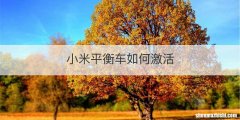 小米平衡车如何激活