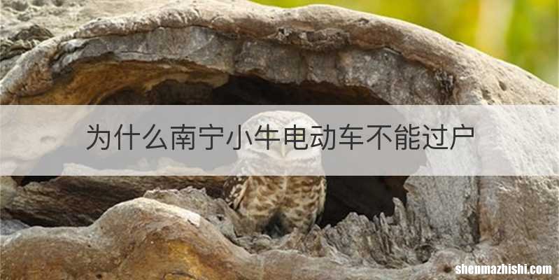 为什么南宁小牛电动车不能过户