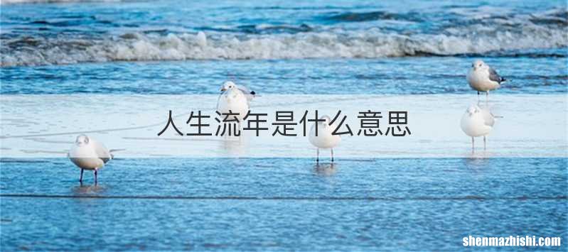 人生流年是什么意思