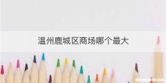 温州鹿城区商场哪个最大