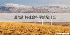 曼彻斯特社会科学院是什么