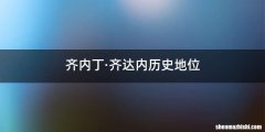 齐内丁·齐达内历史地位