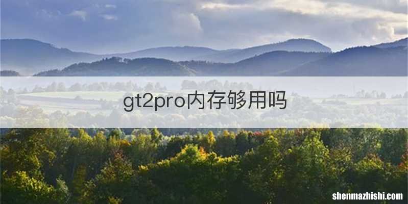 gt2pro内存够用吗