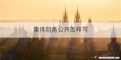 集体财务公开怎样写
