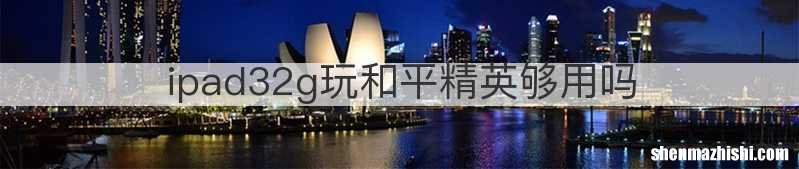 ipad32g玩和平精英够用吗