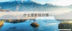 什么是新锐白领