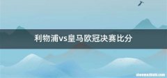 利物浦vs皇马欧冠决赛比分