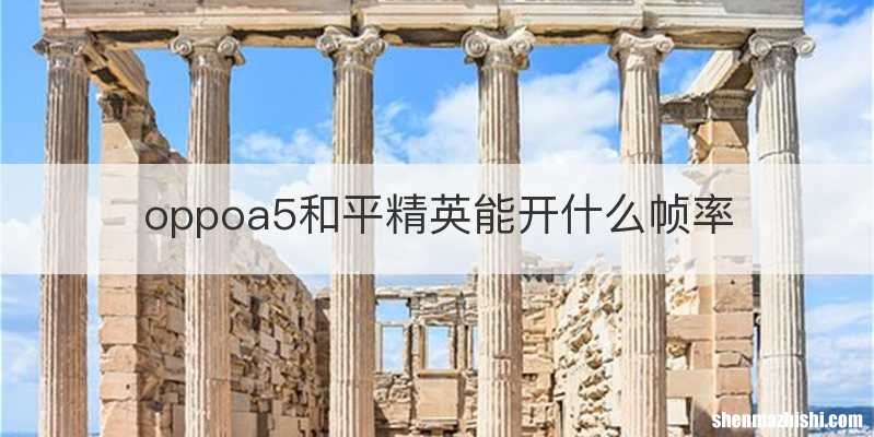 oppoa5和平精英能开什么帧率