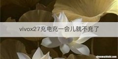 vivox27充电充一会儿就不充了