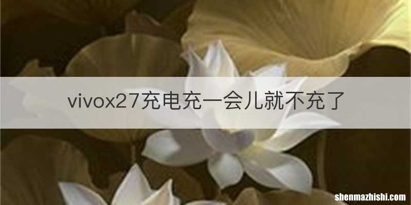 vivox27充电充一会儿就不充了