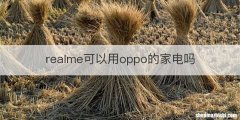 realme可以用oppo的家电吗