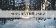 mate40玩和平精英掉帧厉害
