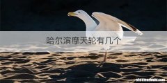 哈尔滨摩天轮有几个