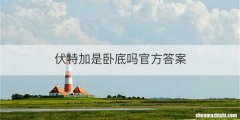 伏特加是卧底吗官方答案