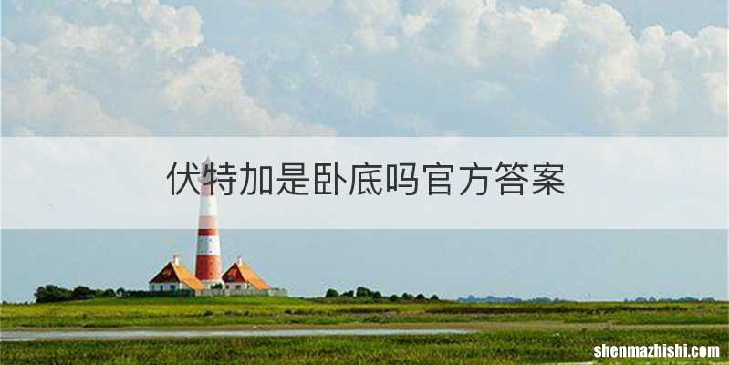 伏特加是卧底吗官方答案
