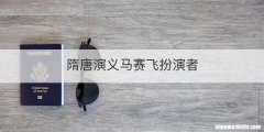 隋唐演义马赛飞扮演者