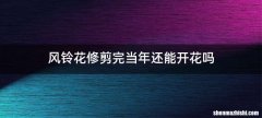 风铃花修剪完当年还能开花吗