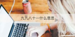 九九八十一什么意思