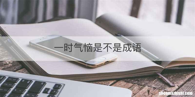 一时气恼是不是成语
