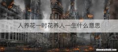人养花一时花养人一生什么意思