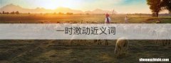 一时激动近义词