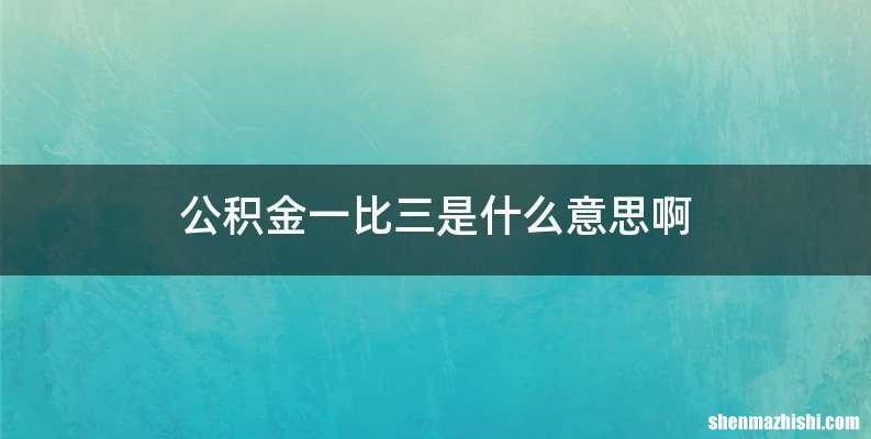 公积金一比三是什么意思啊