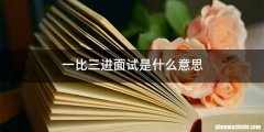 一比三进面试是什么意思