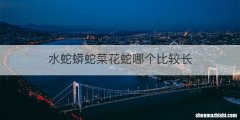 水蛇蟒蛇菜花蛇哪个比较长