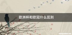 欧洲杯和欧冠什么区别
