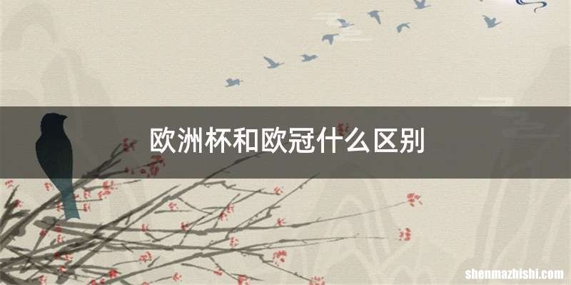 欧洲杯和欧冠什么区别